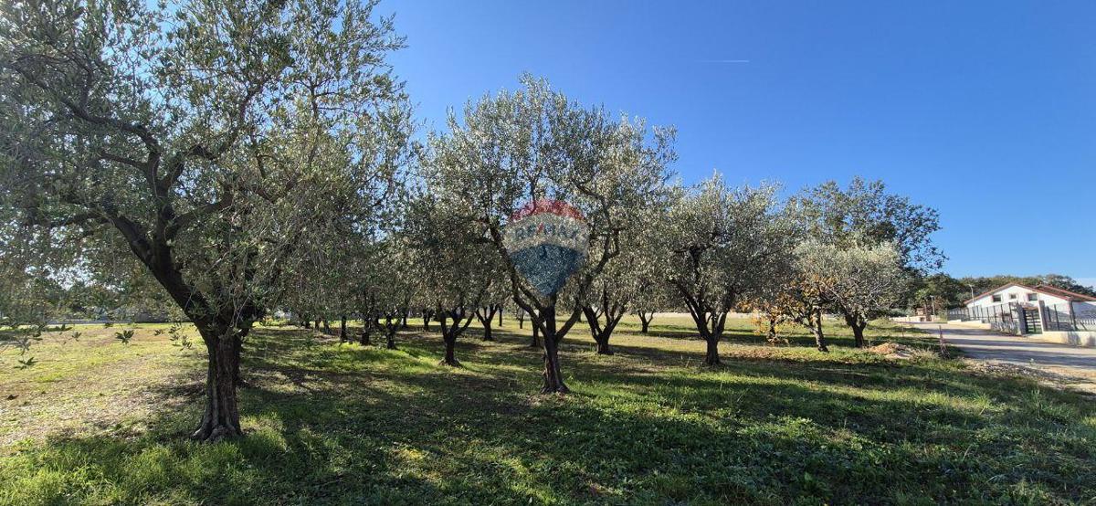 Land For sale - Istarska Poreč - foto 2/8