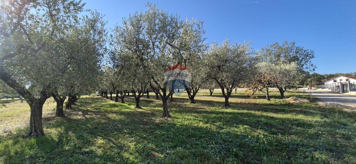 Land For sale - Istarska Poreč - foto 3/8