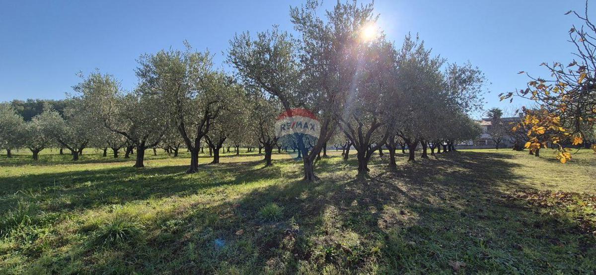 Land For sale - Istarska Poreč - foto 4/8