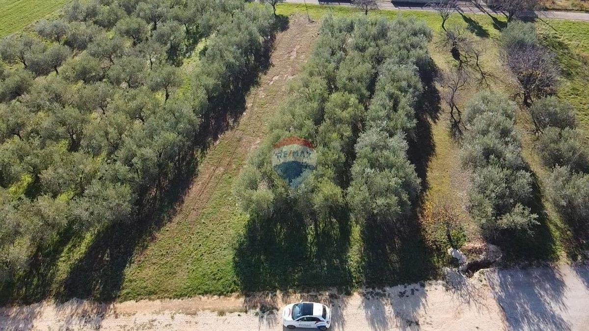 Land For sale - Istarska Poreč - foto 5/8