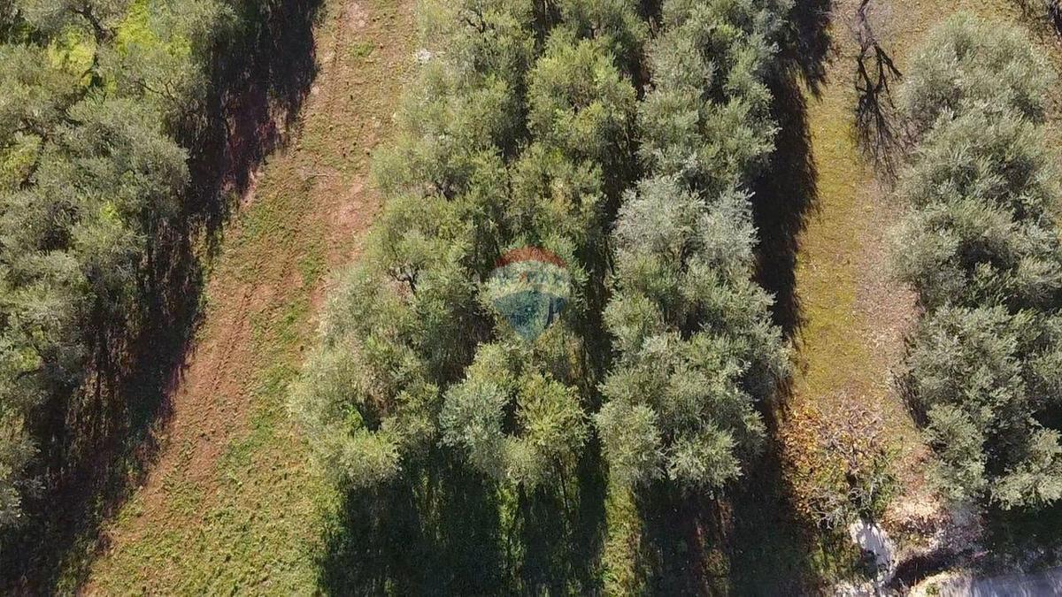 Land For sale - ISTARSKA POREČ
