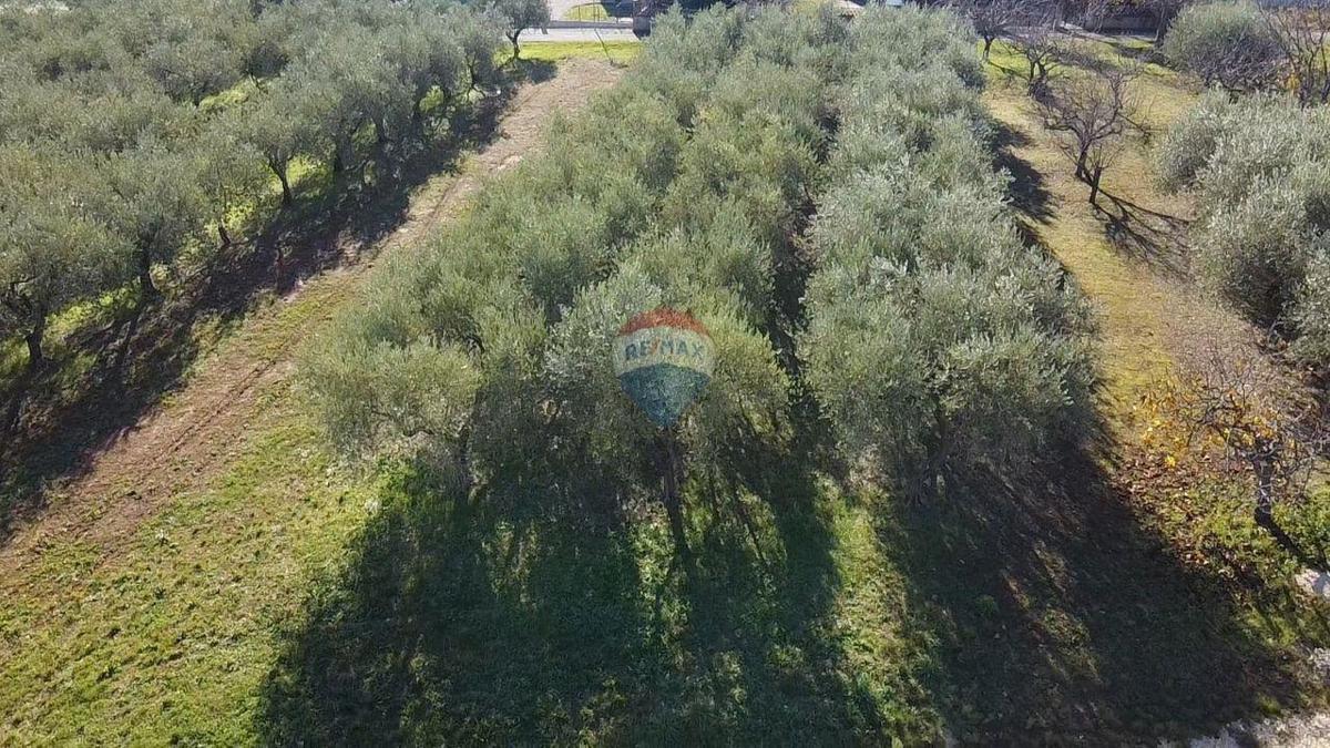 Land For sale - ISTARSKA POREČ