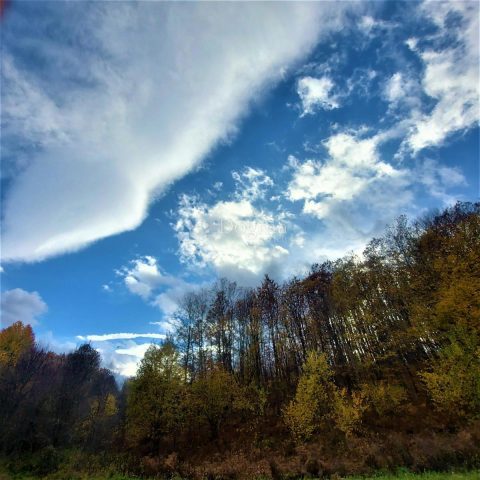 Land For sale DONJI LAPAC