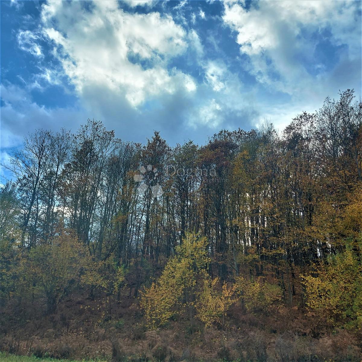Land For sale - Ličko-senjska Donji Lapac - foto 2/2