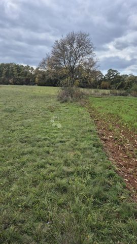 Terrain À vendre - Istarska Svetvinčenat - foto 2/18