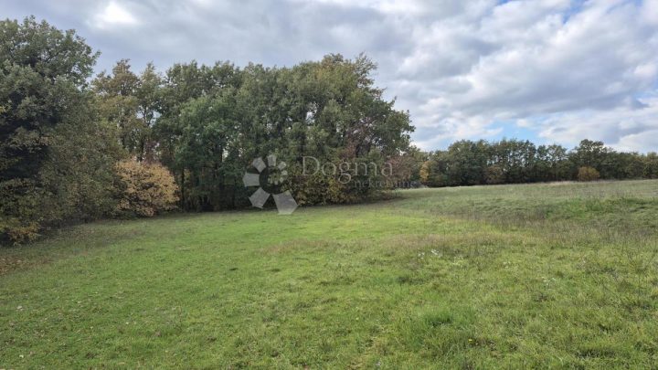 Terrain À vendre - Istarska Svetvinčenat - foto 3/18