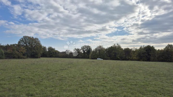 Terrain À vendre - Istarska Svetvinčenat - foto 4/18