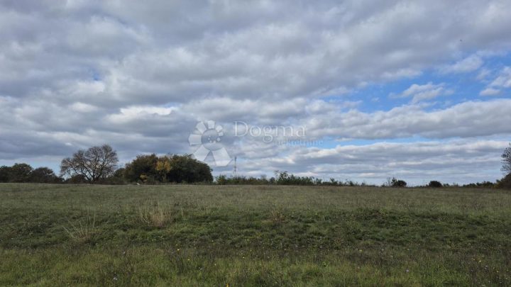 Terrain À vendre - Istarska Svetvinčenat - foto 5/18