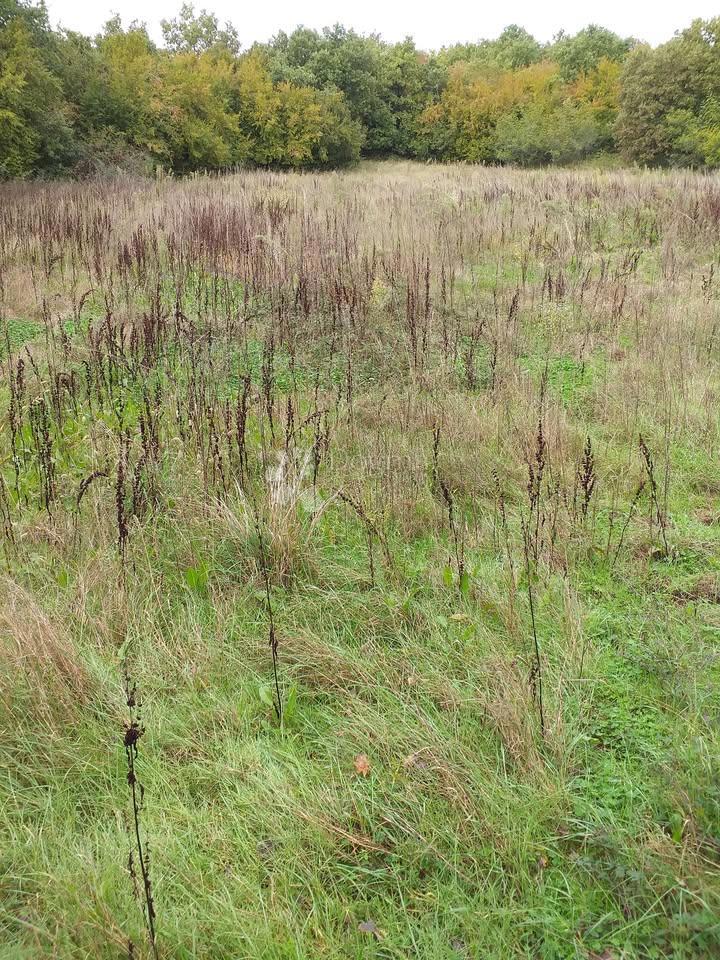 Terreno In vendita - Istarska Svetvinčenat - foto 4/4