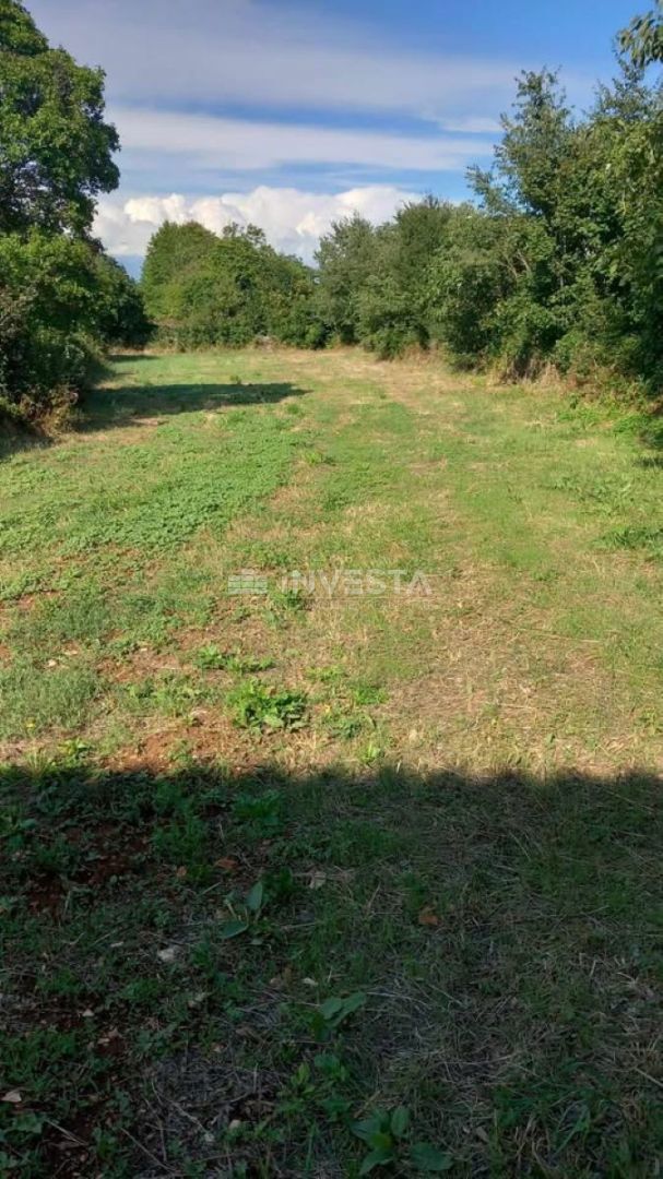 Terrain À vendre - Istarska Svetvinčenat - foto 1/2