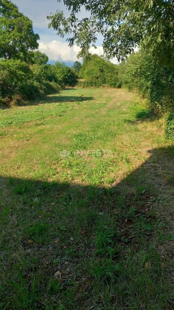 Terrain À vendre - Istarska Svetvinčenat - foto 2/2