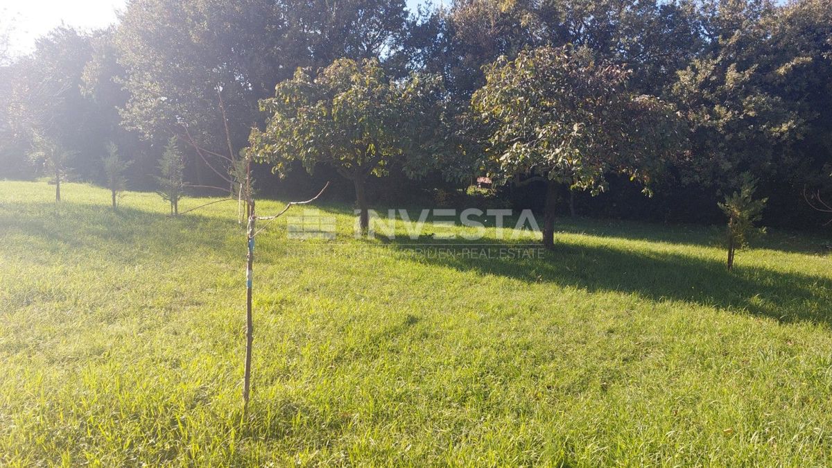 Grundstück Zu verkaufen - Istarska Poreč - foto 2/10