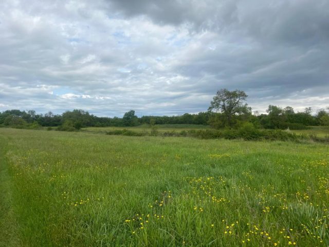 Terrain à vendre 5392 m² – Poličnik