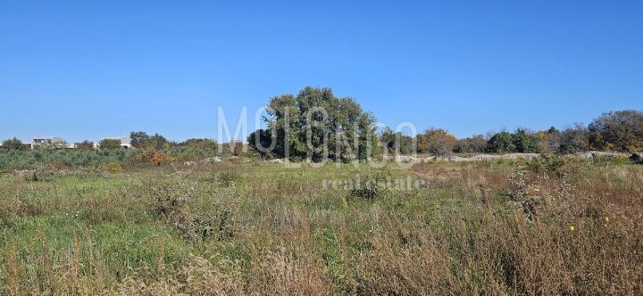 Land For sale - Istarska Vodnjan - foto 2/3