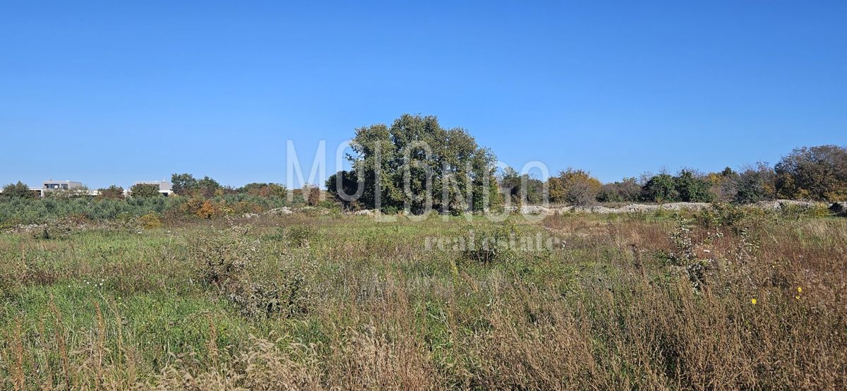 Land For sale - Istarska Vodnjan - foto 2/3