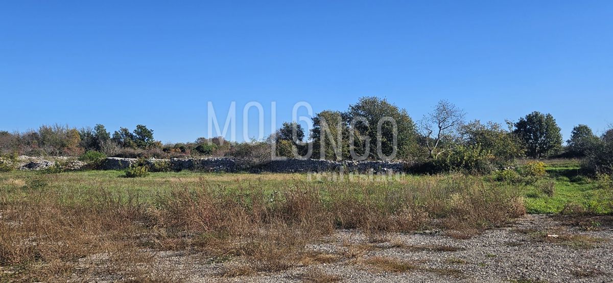 Land For sale - Istarska Vodnjan - foto 3/3