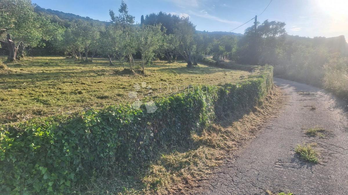 Land For sale - Zadarska Pašman - foto 1/5