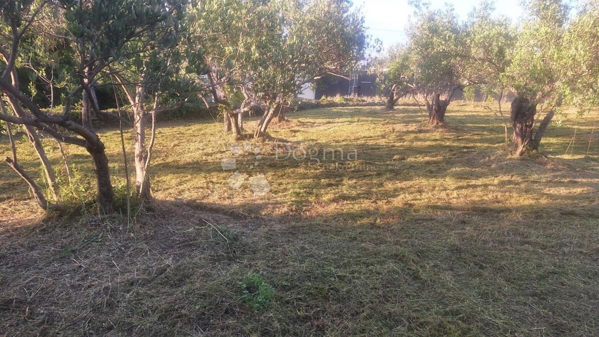 Land For sale - Zadarska Pašman - foto 2/5