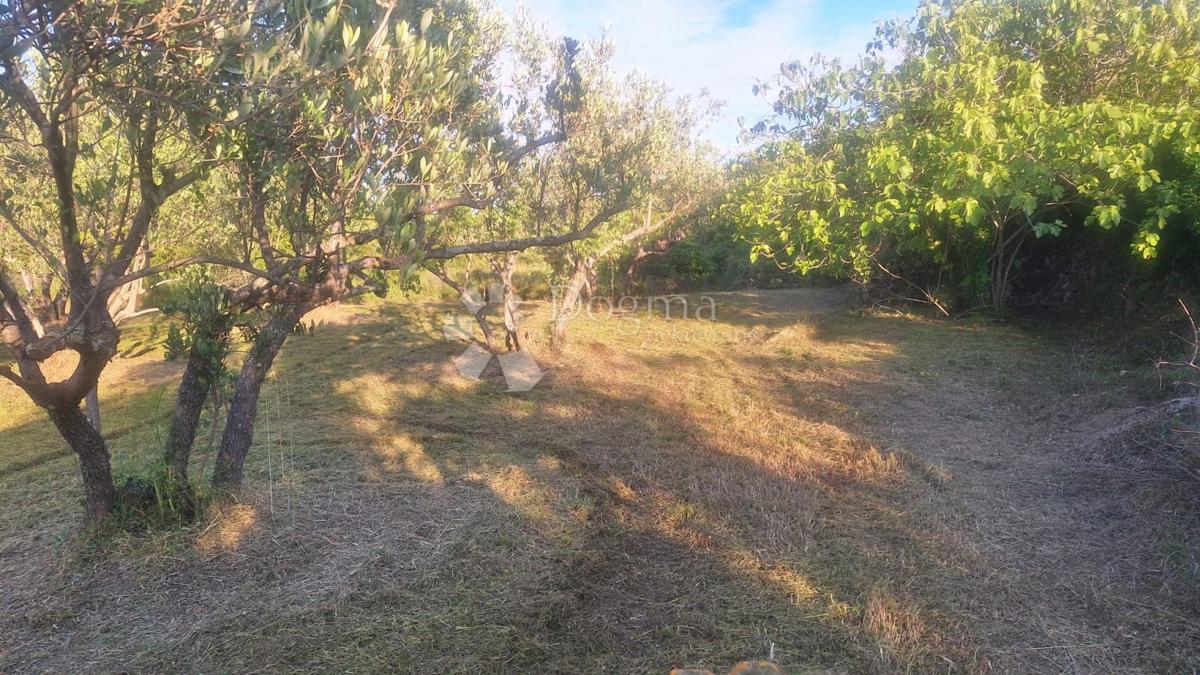 Land For sale - Zadarska Pašman - foto 3/5