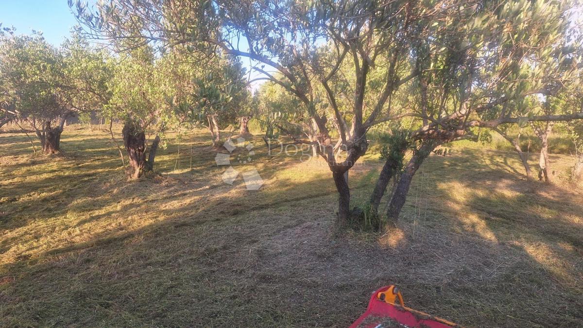 Land For sale - Zadarska Pašman - foto 4/5