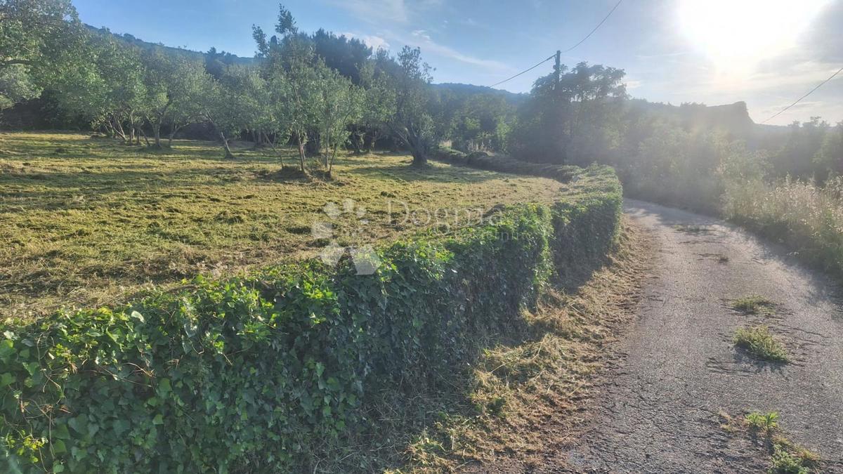 Land For sale - Zadarska Pašman - foto 5/5