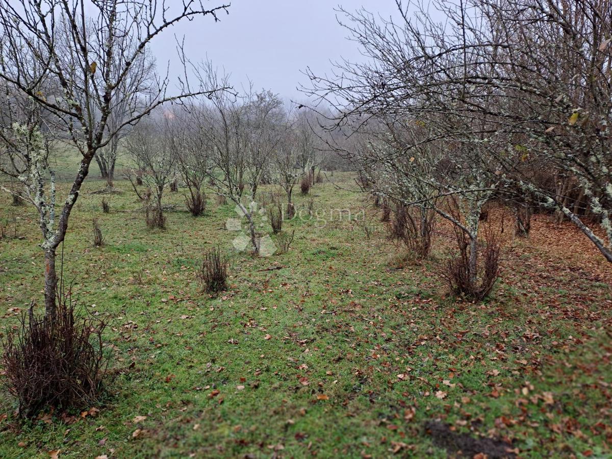 Dom Na sprzedaż - Sisačko-moslavačka Glina - foto 3/30