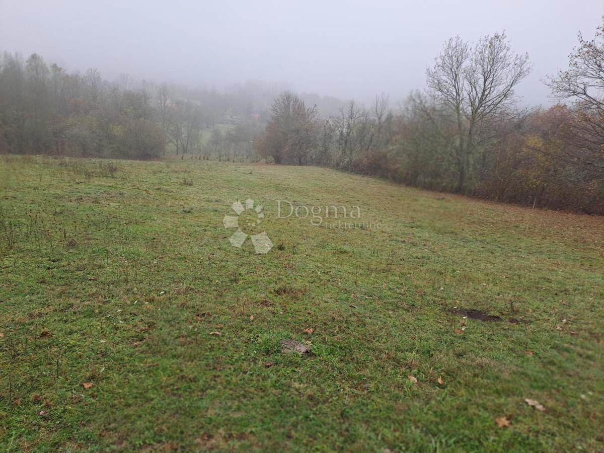 Dom Na sprzedaż - Sisačko-moslavačka Glina - foto 4/30