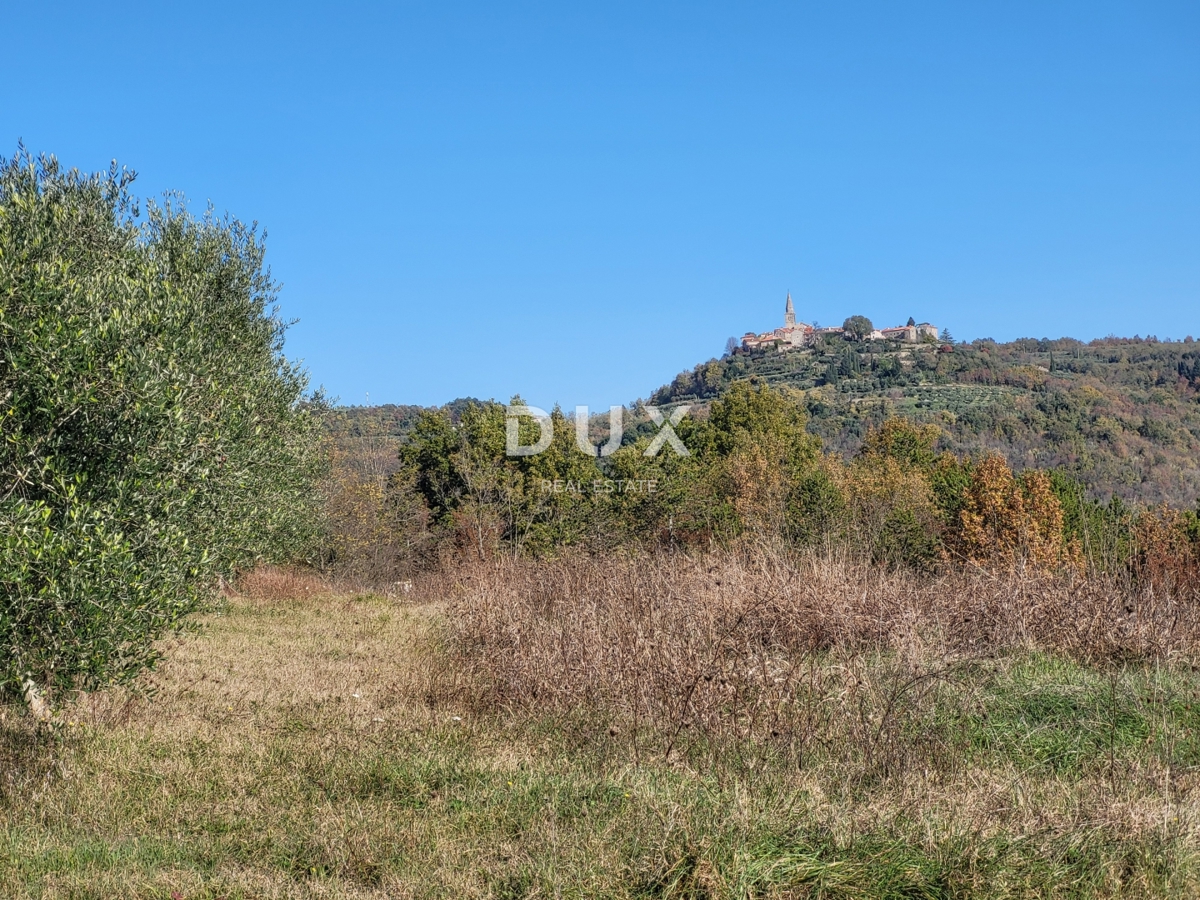 Maison À vendre - ISTARSKA GROŽNJAN