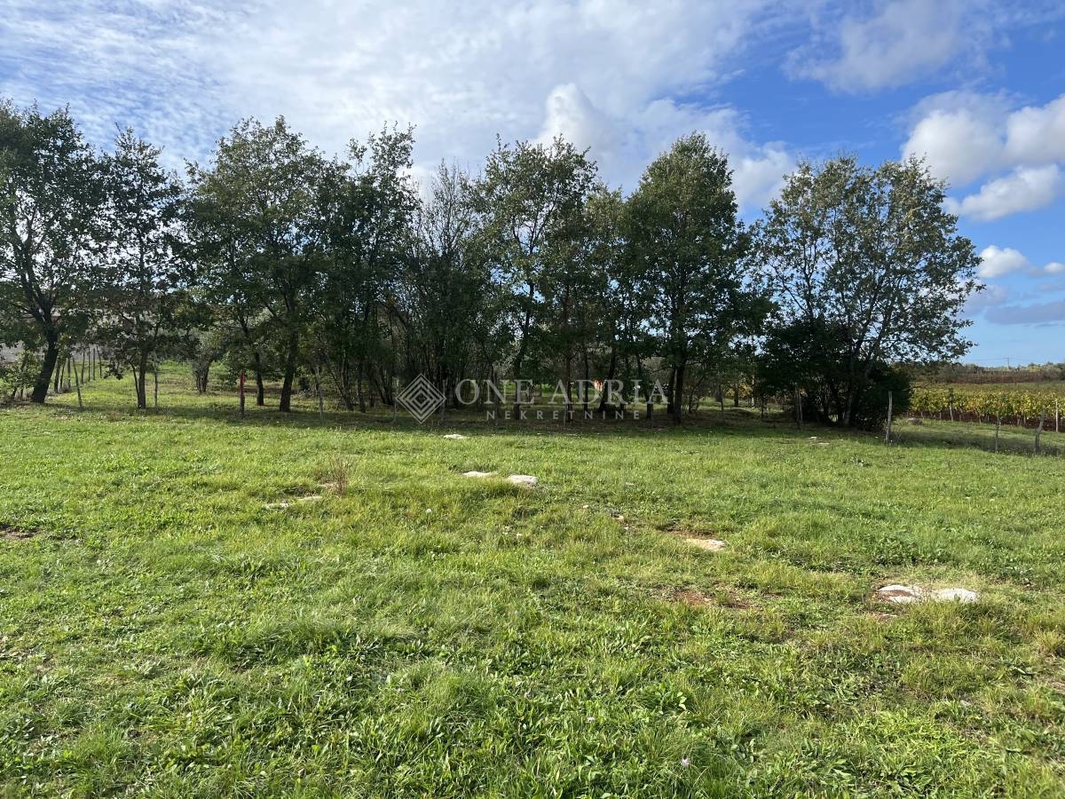 Zemljište Na prodaju - ISTARSKA SVETI LOVREČ