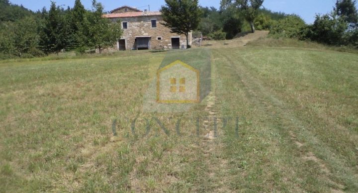 Zemljište na prodaju 12550 m² – Karojba