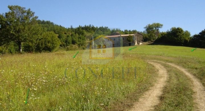 Land For sale - Istarska Karojba - foto 2/6
