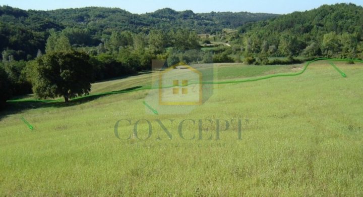 Land For sale - Istarska Karojba - foto 5/6