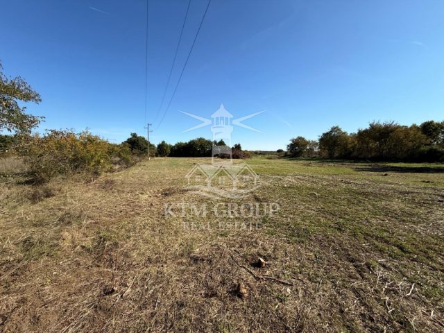 Grundstück zu verkaufen 3890 m² – Zemunik Donji