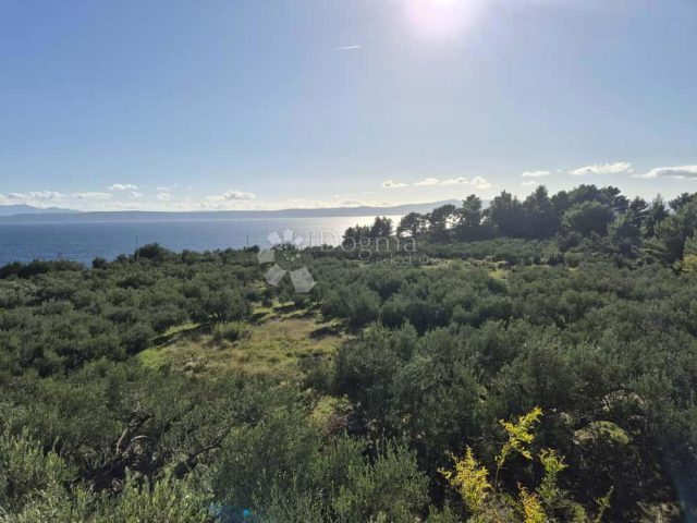 Zemljište na prodaju 5209 m² – Podgora