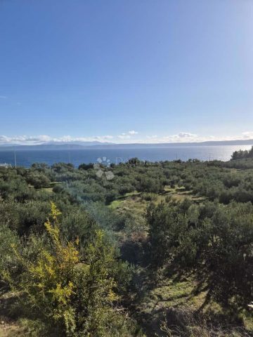 Parcela Na predaj - Splitsko-dalmatinska Podgora - foto 3/6