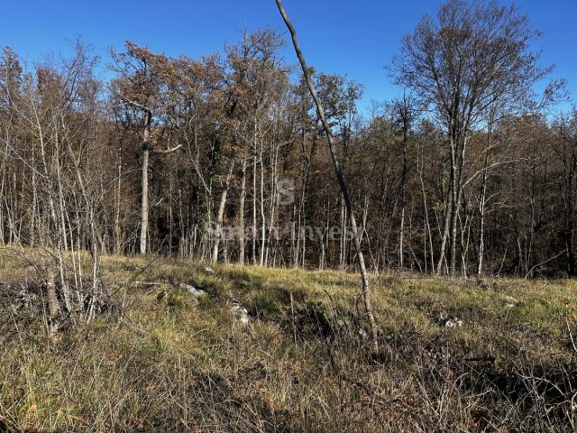 Parcela Naprodaj - Primorsko-goranska Kastav - foto 4/4