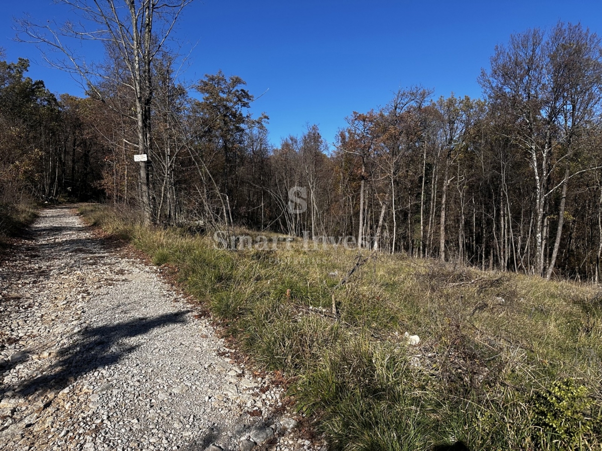 Parcela Na predaj - Primorsko-goranska Kastav - foto 1/4