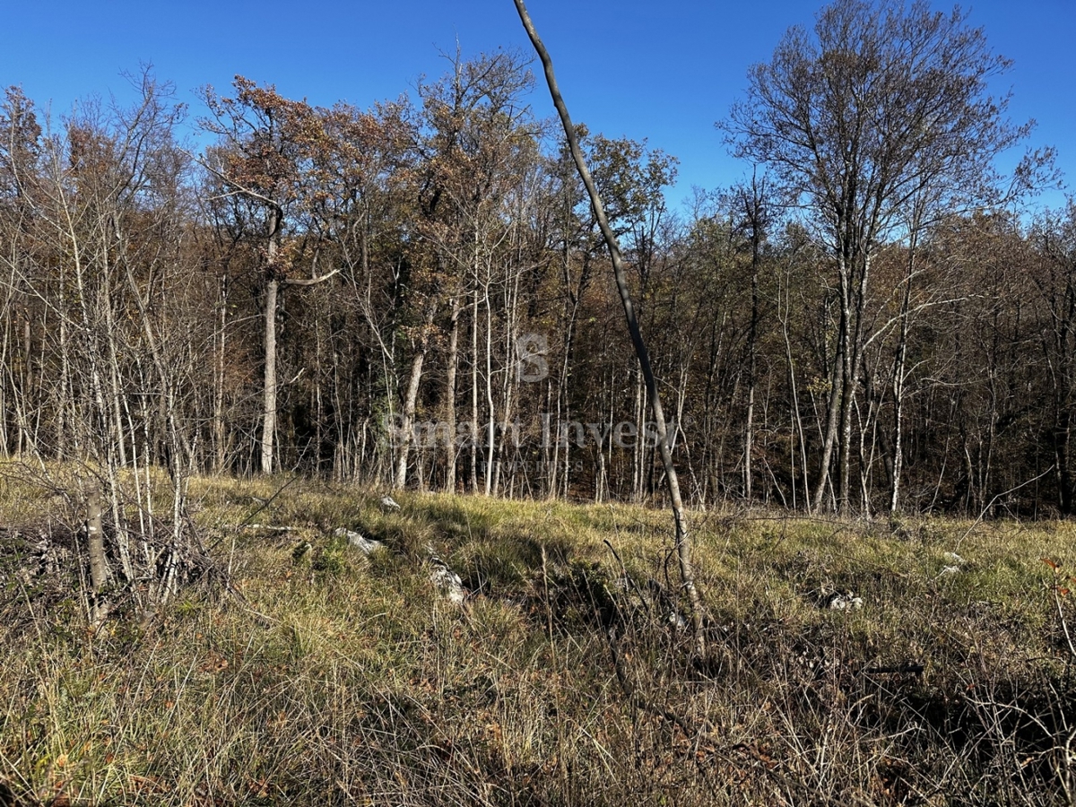 Parcela Na predaj - Primorsko-goranska Kastav - foto 4/4