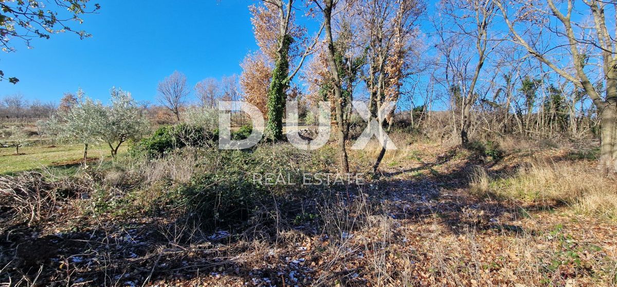 Terreno In vendita - ISTARSKA LABIN