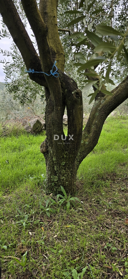Terreno In vendita - ISTARSKA LABIN