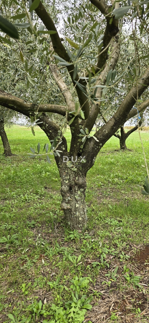 Terreno In vendita - ISTARSKA LABIN