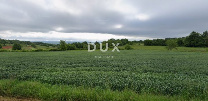 Grundstück zu verkaufen 3937 m² – Barban