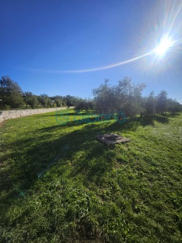 Grundstück Zu verkaufen - Istarska Umag - foto 4/13