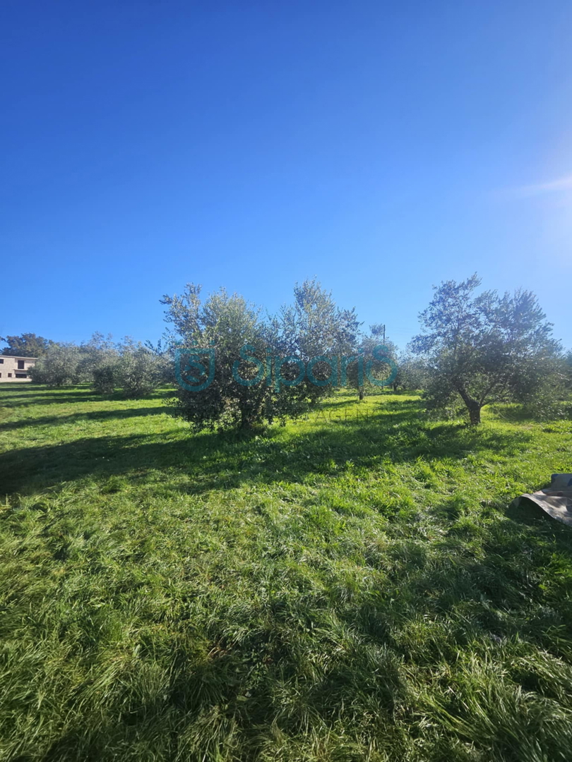 Land For sale - Istarska Umag - foto 1/13