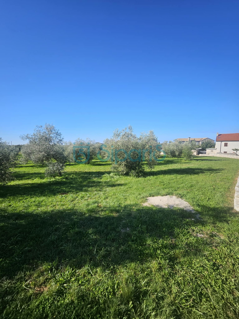 Land For sale - ISTARSKA UMAG