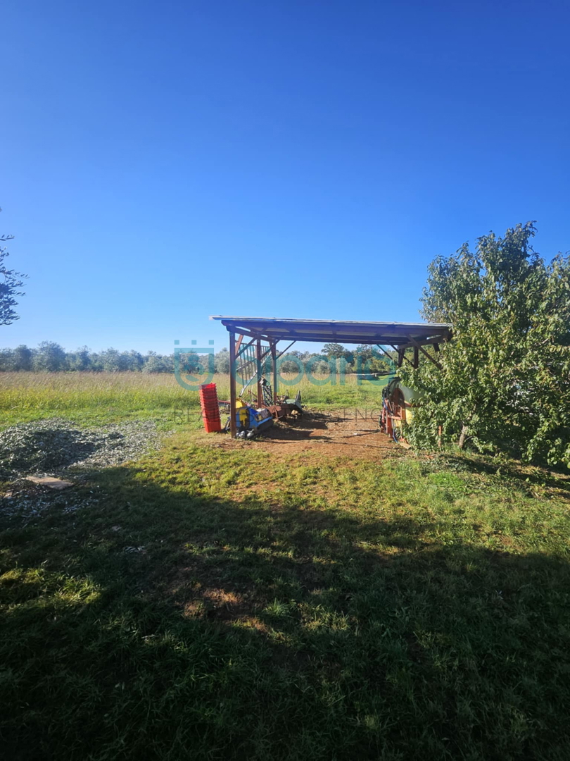 Land For sale - ISTARSKA UMAG