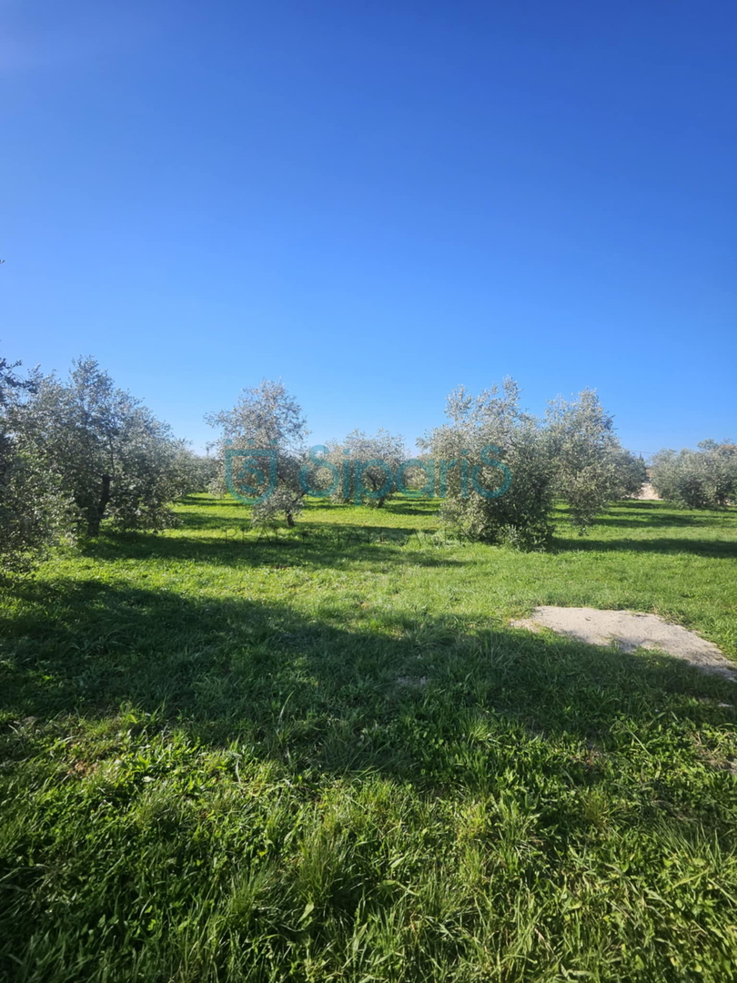 Land For sale - Istarska Umag - foto 3/13