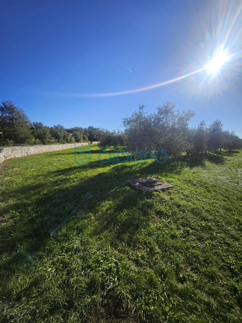 Land For sale - Istarska Umag - foto 4/13