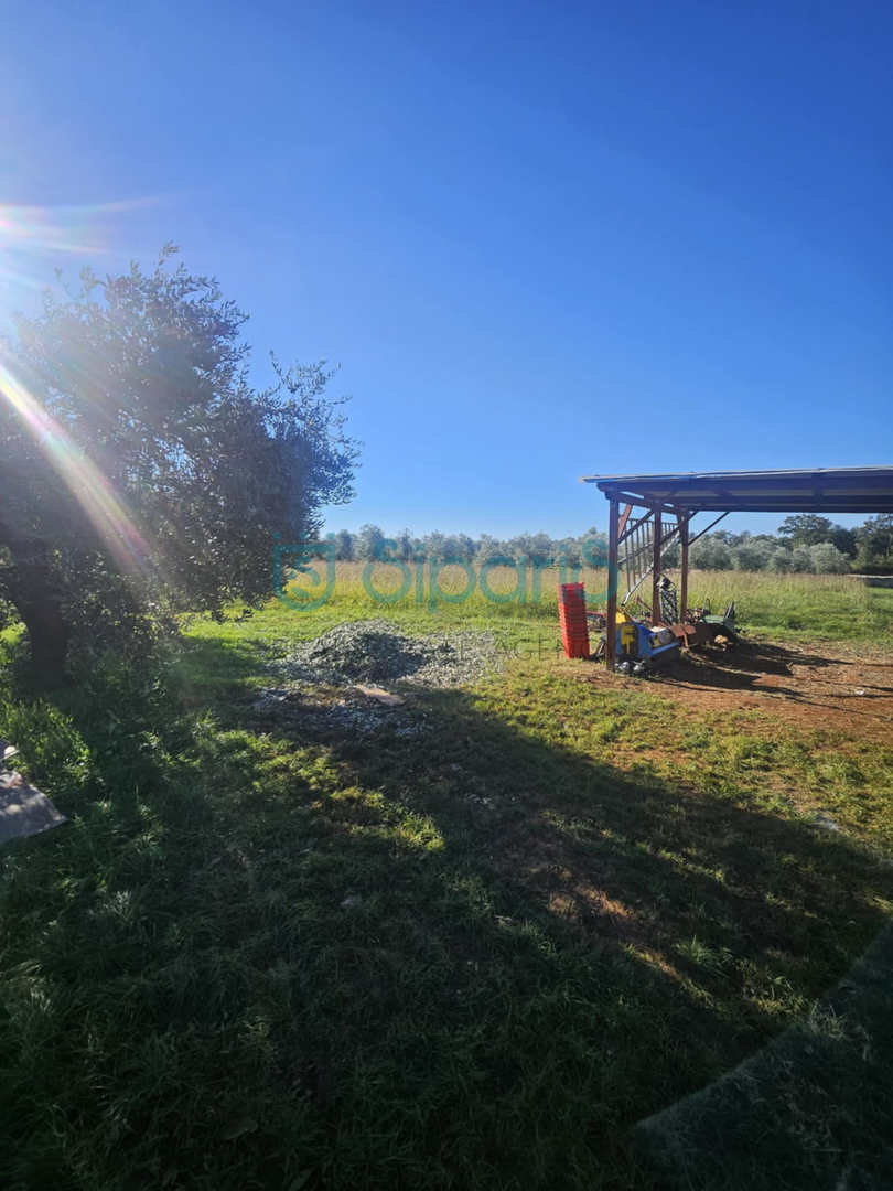 Land For sale - Istarska Umag - foto 5/13