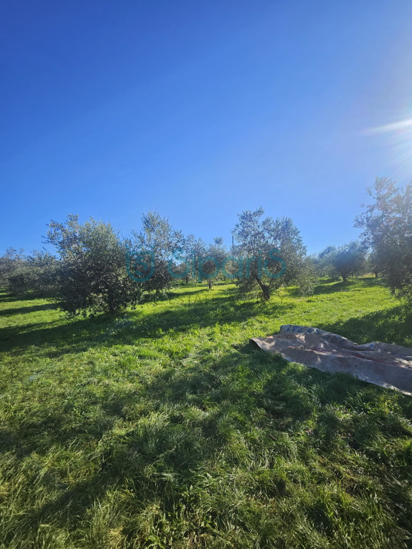 Land For sale - ISTARSKA UMAG